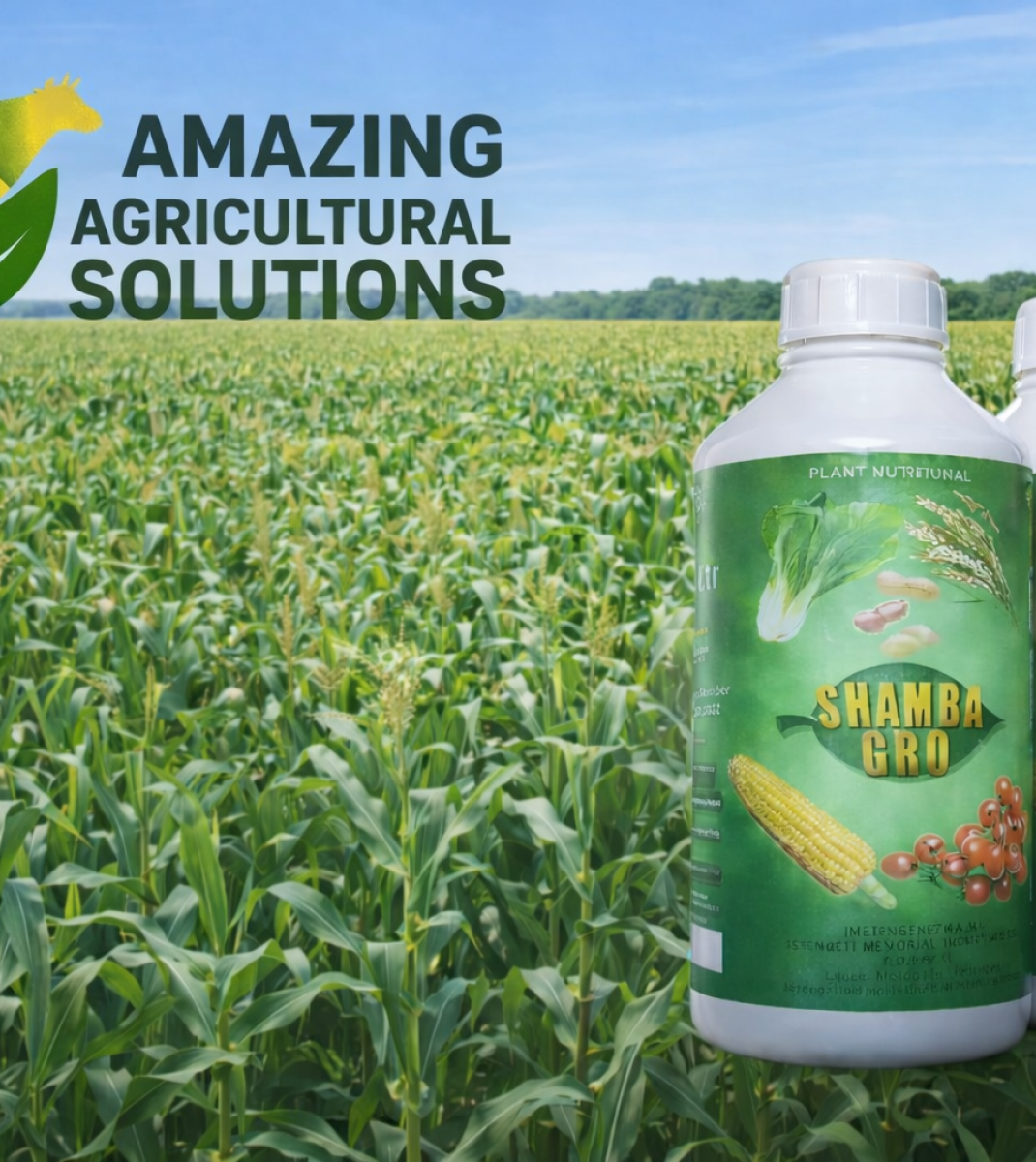 shamba gro image bg 1.png